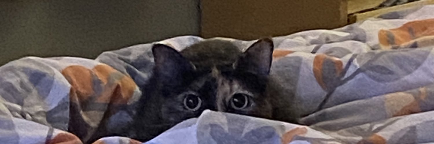 reidstep1's profile banner image