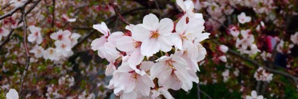 alexorres Profile Banner