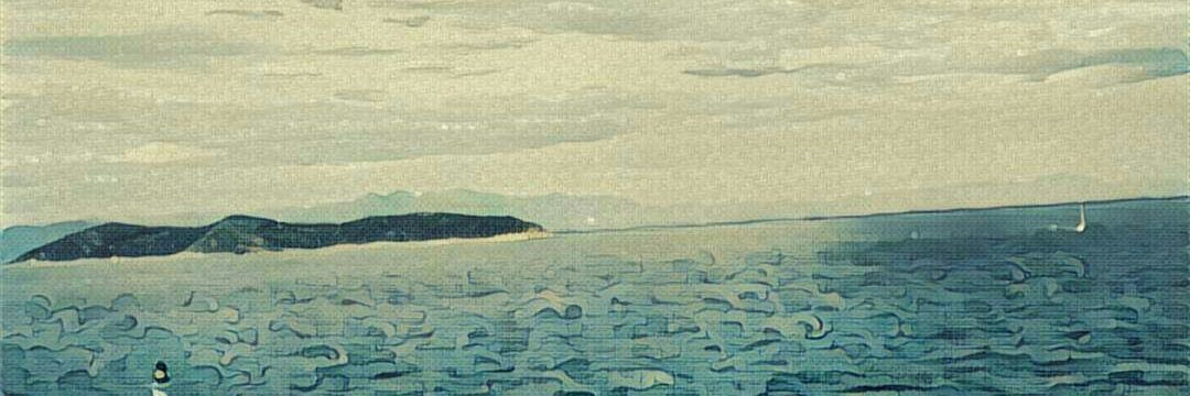 VIvan banner