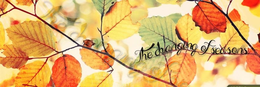 NancyMAC_etc's profile banner image