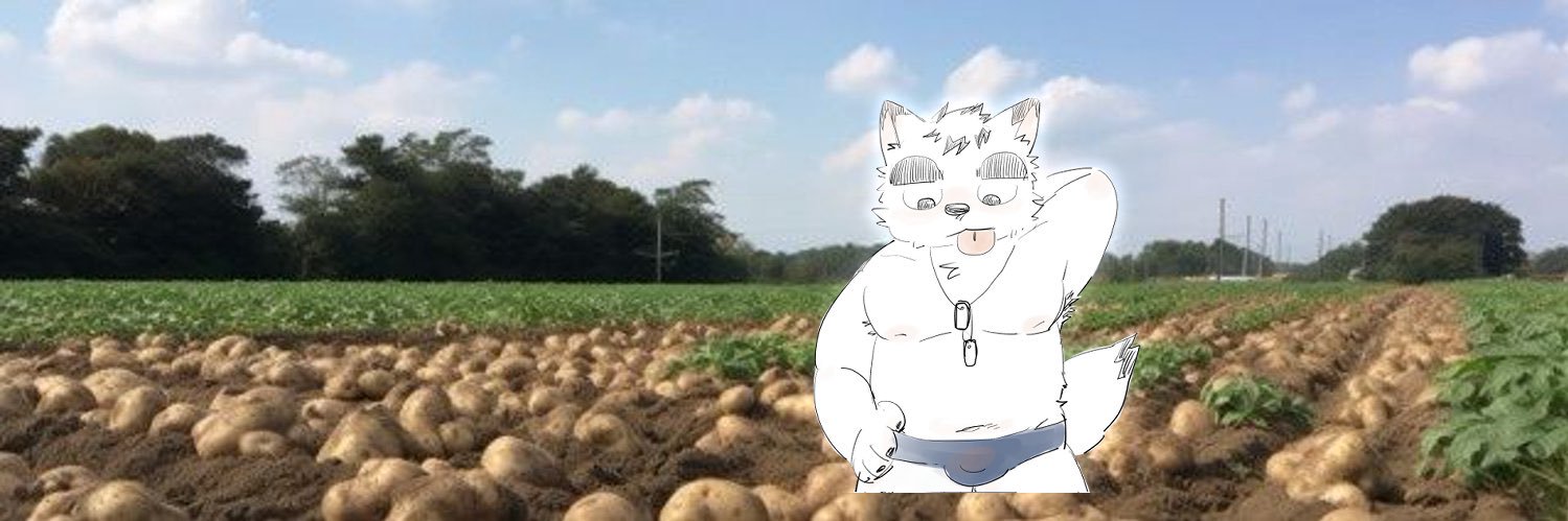 🔞🥔로글로의 감자밭(G)🥔🔞🔜FURST CLASS/퍼클부스 털감자 카페 D-11 banner