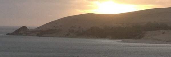 IIWGHA Profile Banner
