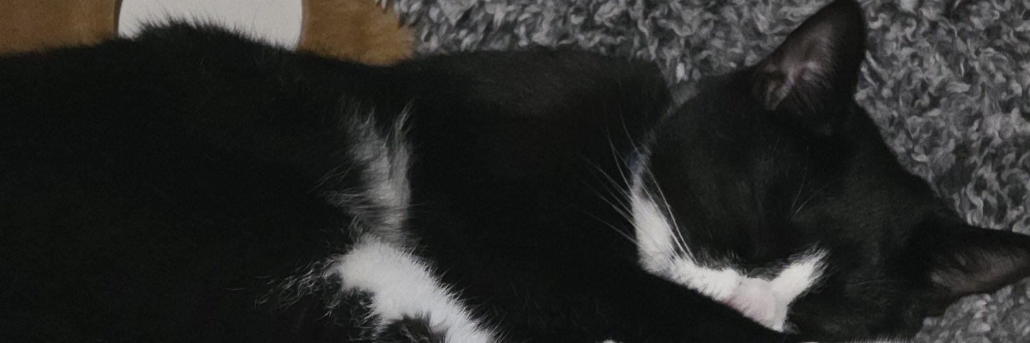 Laila_1503's profile banner image