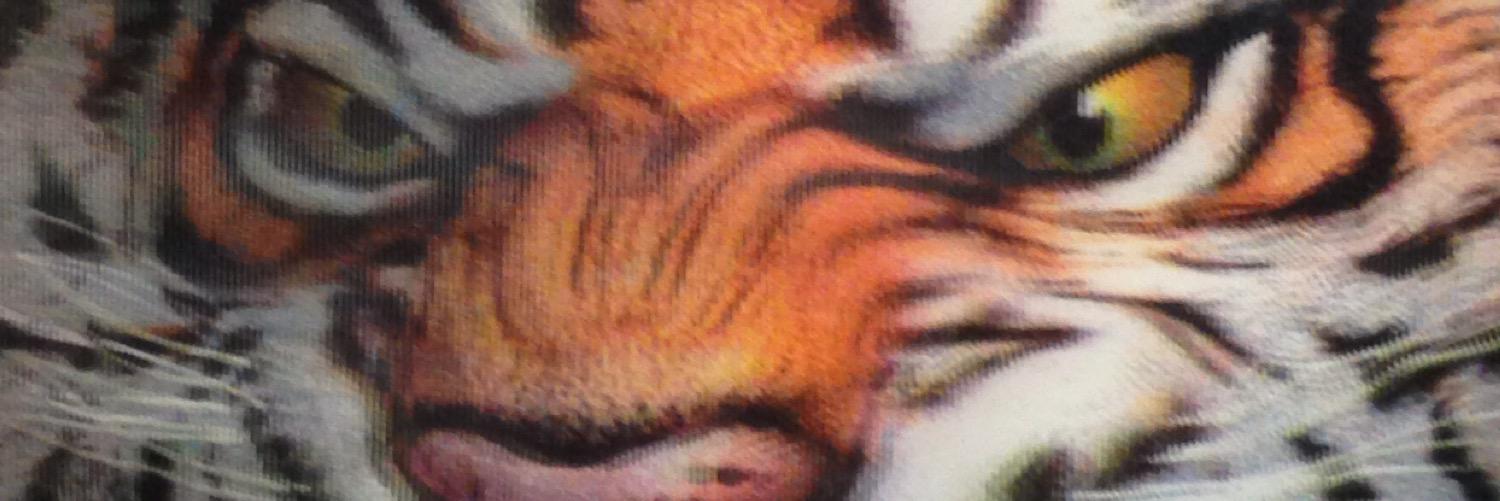 HassanA3's profile banner image