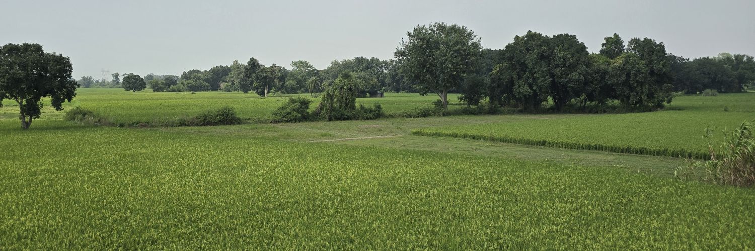 dixitsanjeev's profile banner image