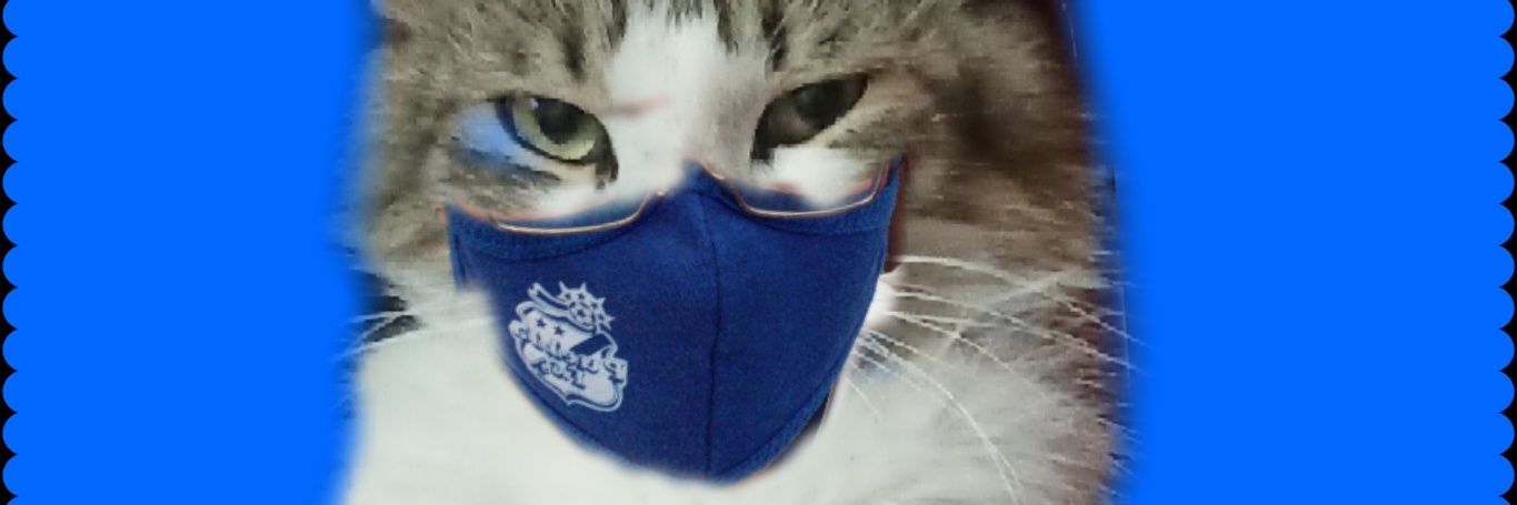 gattobarr's profile banner image