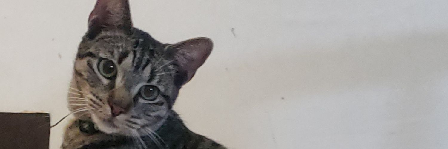 citla_asley's profile banner image