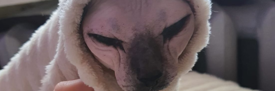 StackedCent's profile banner image
