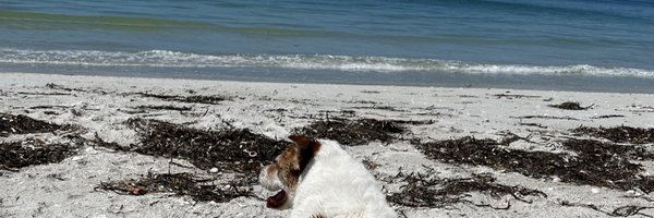 calliebmc Profile Banner