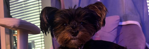 BreMyselfandiii Profile Banner