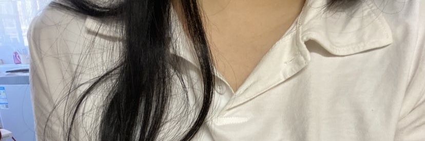 Pppp banner