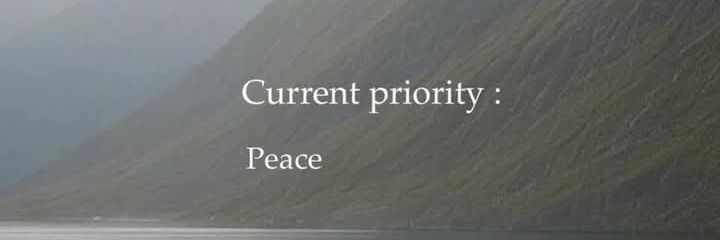 Wiseronenow🐦 banner