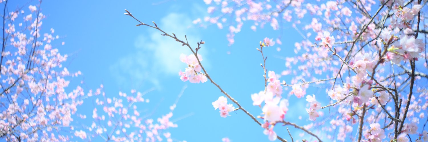 さくら動画 banner