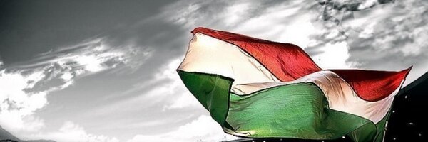 ffbarcelos2000 Profile Banner