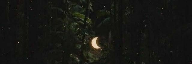 bit__gh's profile banner image