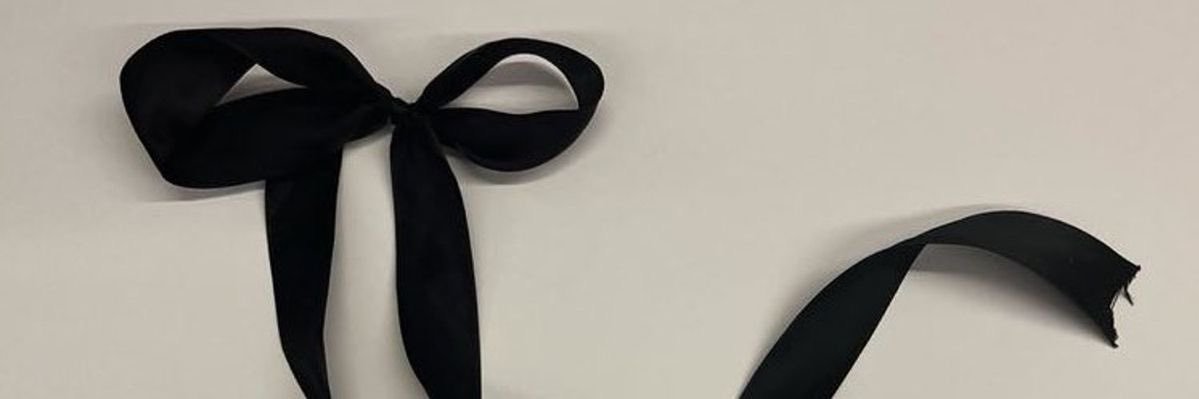 anekryl's profile banner image