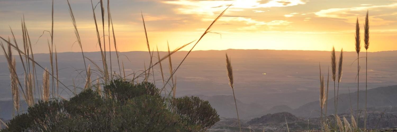camillixi's profile banner image
