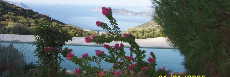 Rcpozyurt's profile banner image