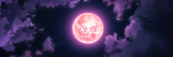 CrypticBiz Profile Banner