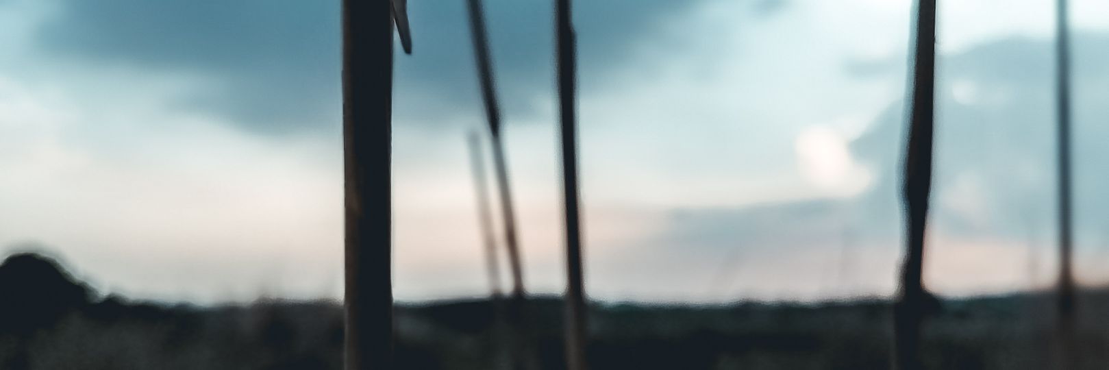 _neryp's profile banner image