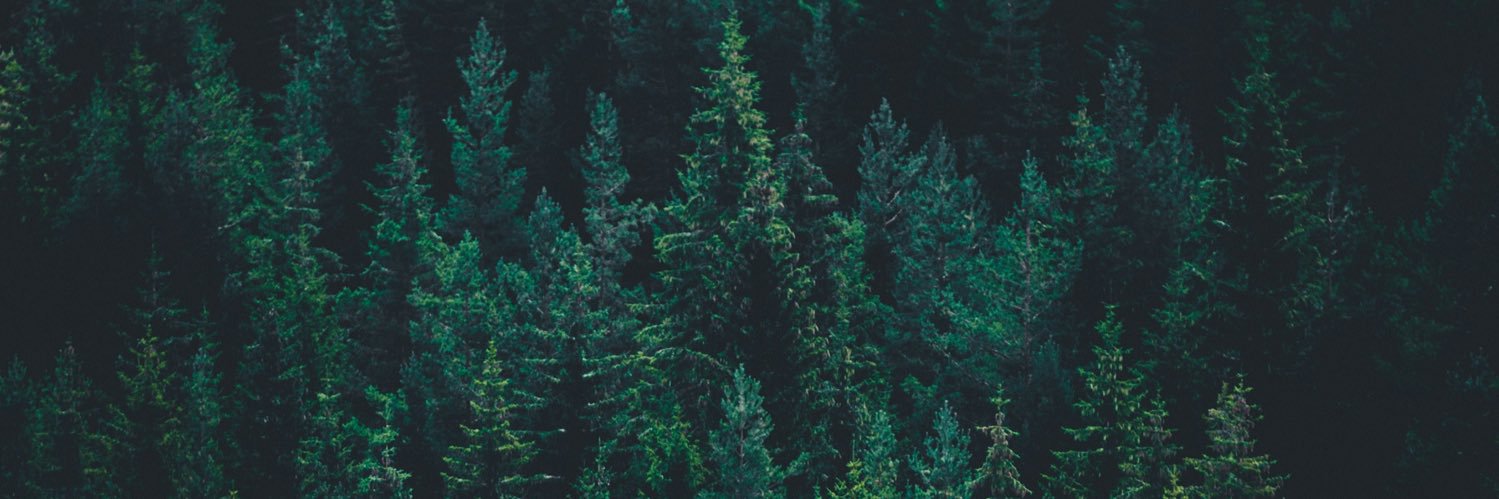 Forest's banner
