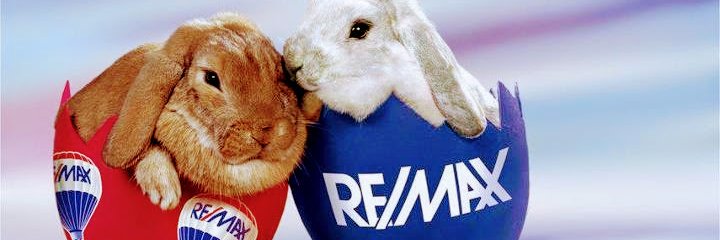 ReevesTeam's profile banner image