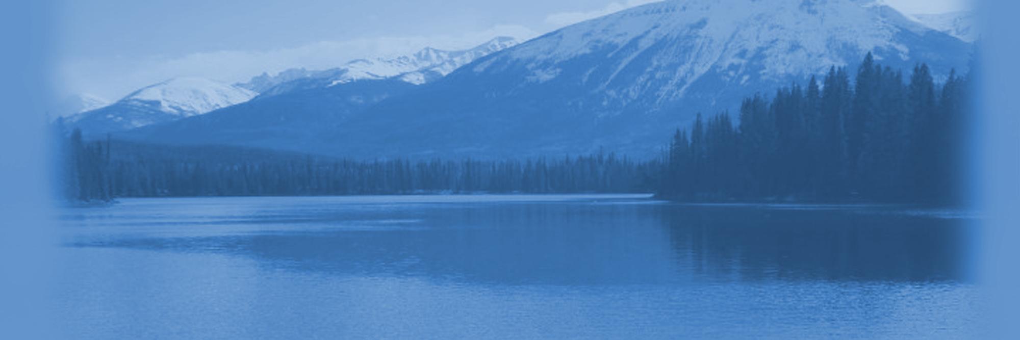 AlbertaLibraryConf. banner