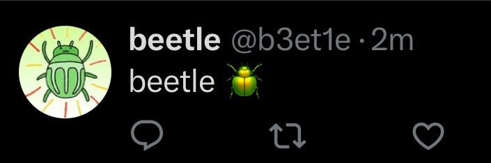 beetle 🪲's banner