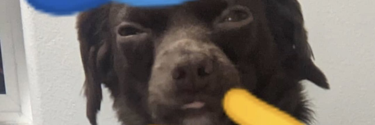 CheezyMendoza's profile banner image