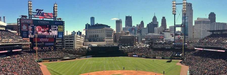 Paws’ Gritty Plug banner