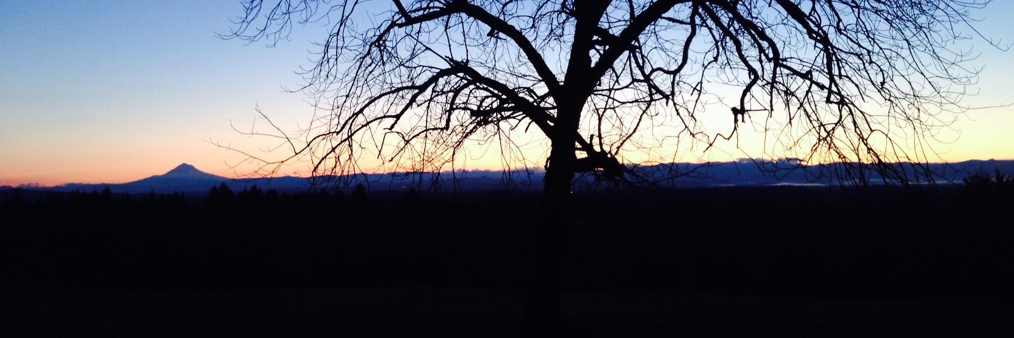 KristenBole's profile banner image
