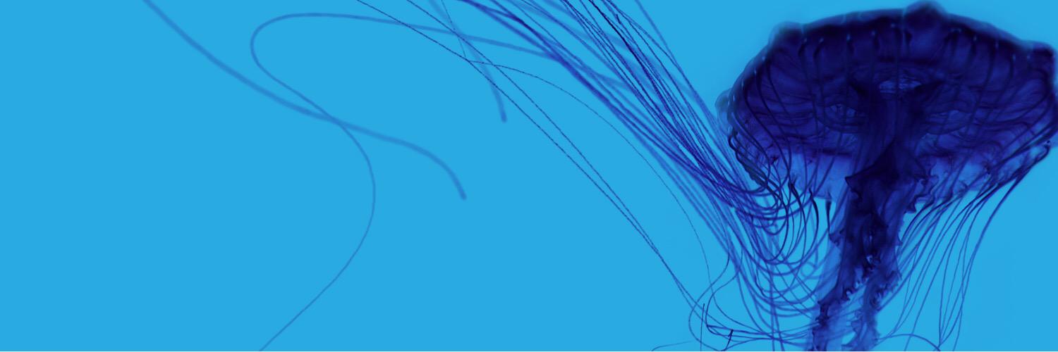 bigskyassoc's profile banner image