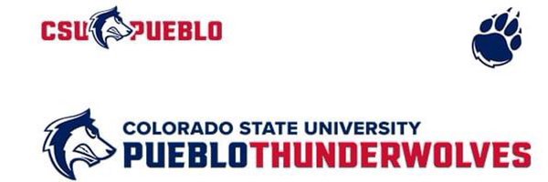 csup_wsoccer Profile Banner