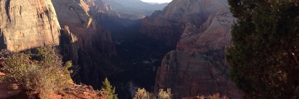 jaredpar Profile Banner