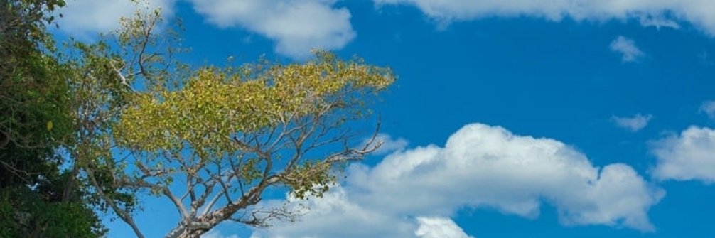nm_pan51315's profile banner image