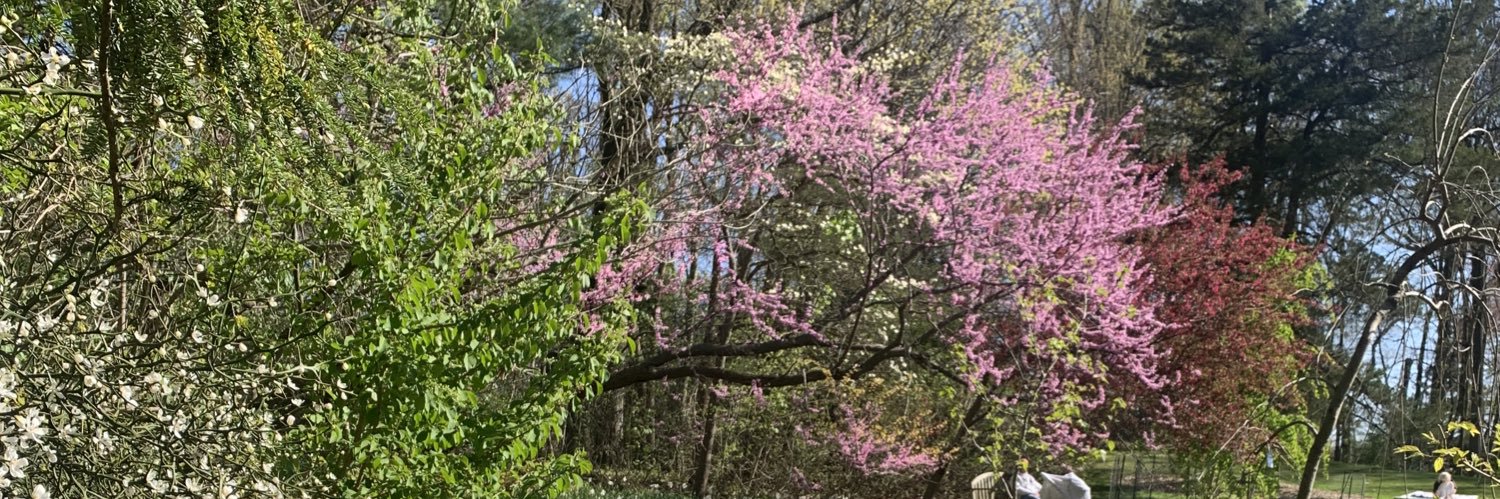 Christina Veiga banner