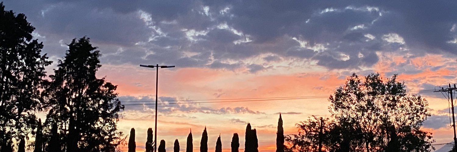 F. banner