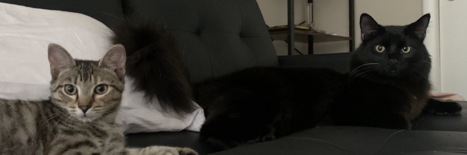 morganschwier's profile banner image