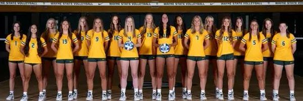 WayneStateVB Profile Banner