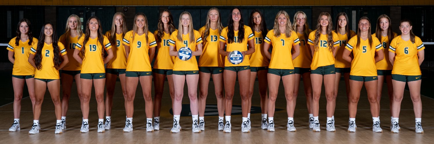 Wayne State VB banner