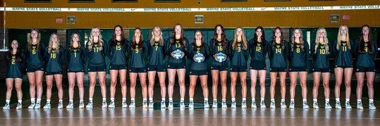 WayneStateVB's profile banner image