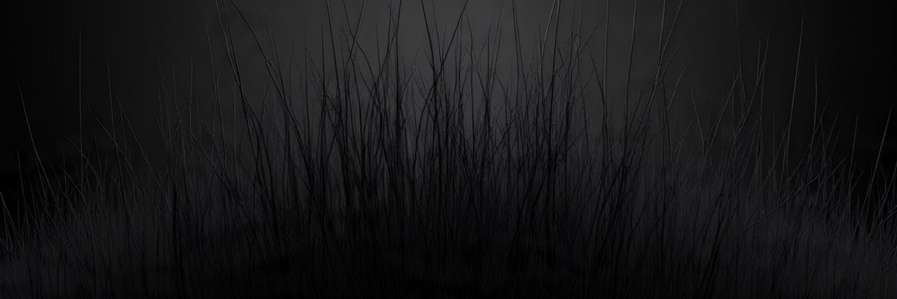 nutt66781's profile banner image