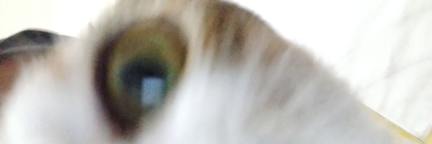 m banner