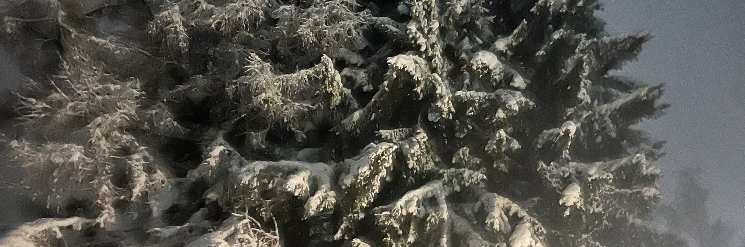 PerakylaJ's profile banner image