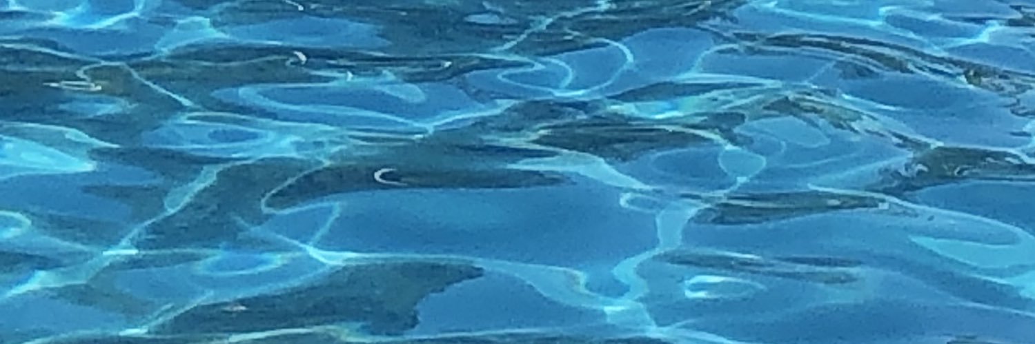 M05soy ✋🏼 banner