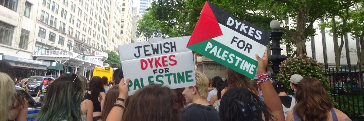 dykefication's profile banner image