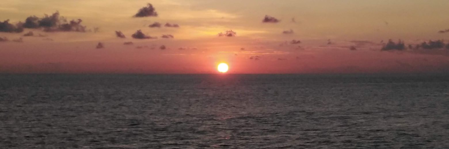 a__romo's profile banner image