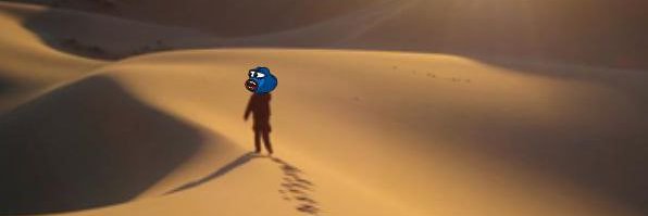 lostcto's profile banner image