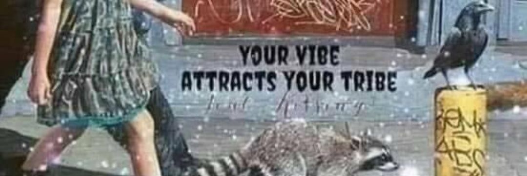 Moon Veriditas 🙏 banner