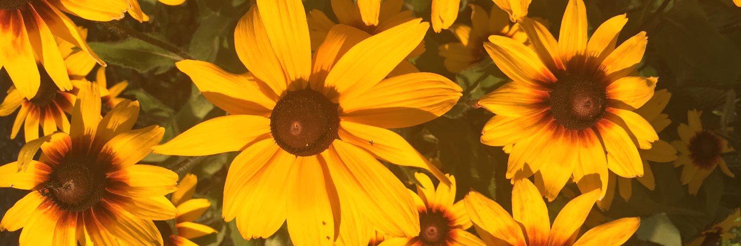 Alex Thompson banner